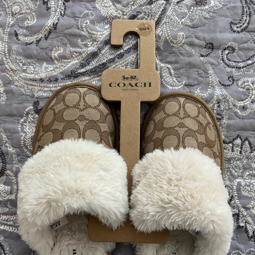 Coach Slippers